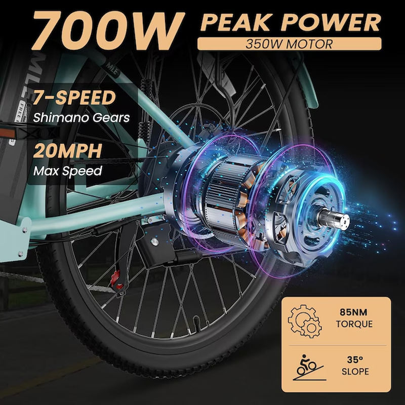 24-In Adult Unisex E-Bike