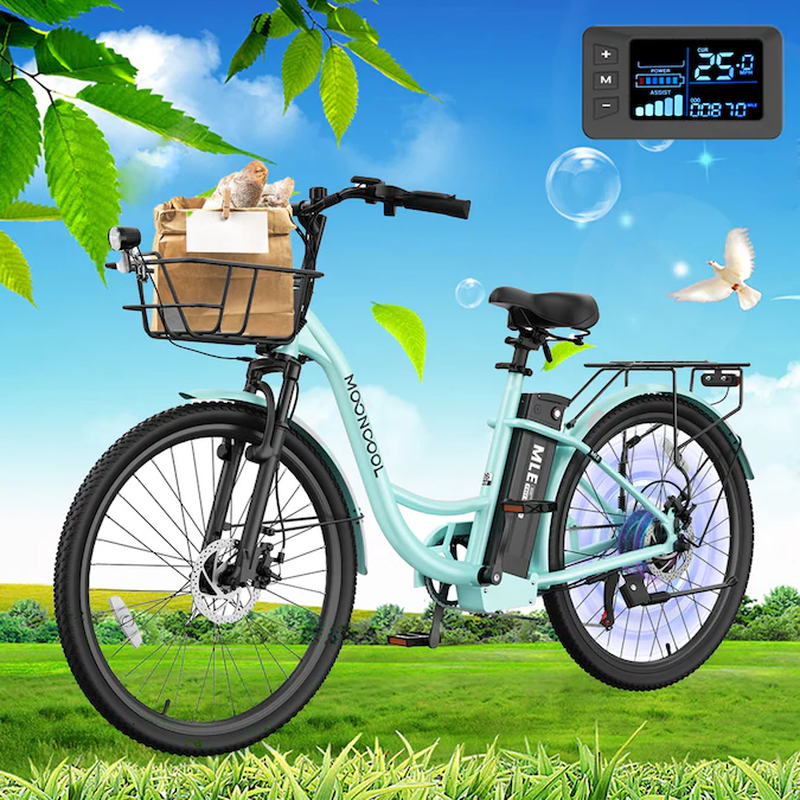 24-In Adult Unisex E-Bike